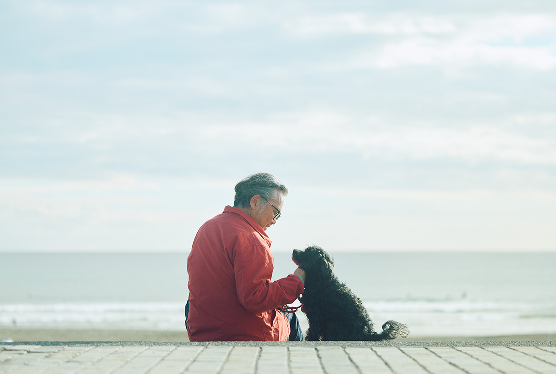 小田急あなた線PlatformSiteimage4